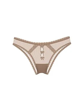 Sheer Lace-Trim Brazilian Panty
