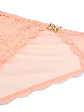Twinkle Butterfly Lace & Mesh Bikini Panty