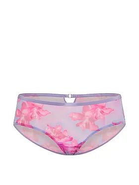 Mesh Hiphugger Panty