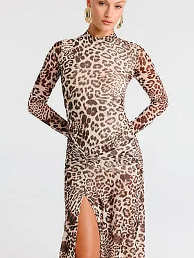 Lea Printed Mesh Dress