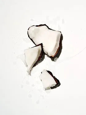 Coconut Daily Dew Body Milk