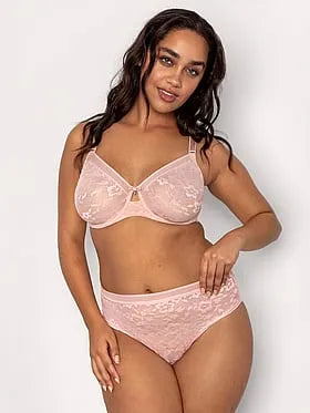 Smooth Lace High Cut Brief