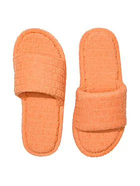 Terry Slides