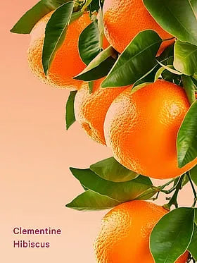 Clementine Hibiscus Feel Energized Travel Set