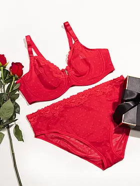 Sheer Whisper High Cut Brief Panty