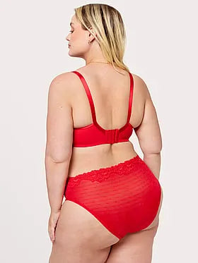Sheer Whisper High Cut Brief Panty