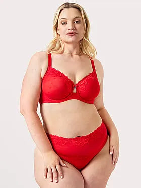 Sheer Whisper High Cut Brief Panty