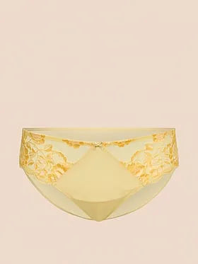 Vicky Brazilian Panty