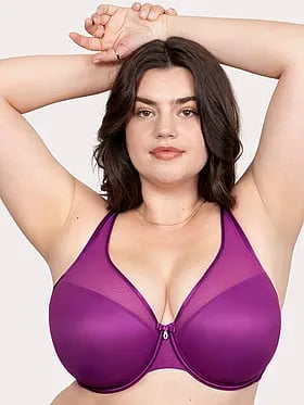 Sheer Mesh Push-Up Bra