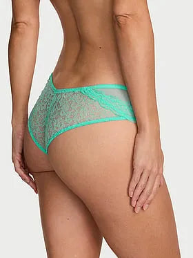 Tease Mesh & Lace Cheeky Panty